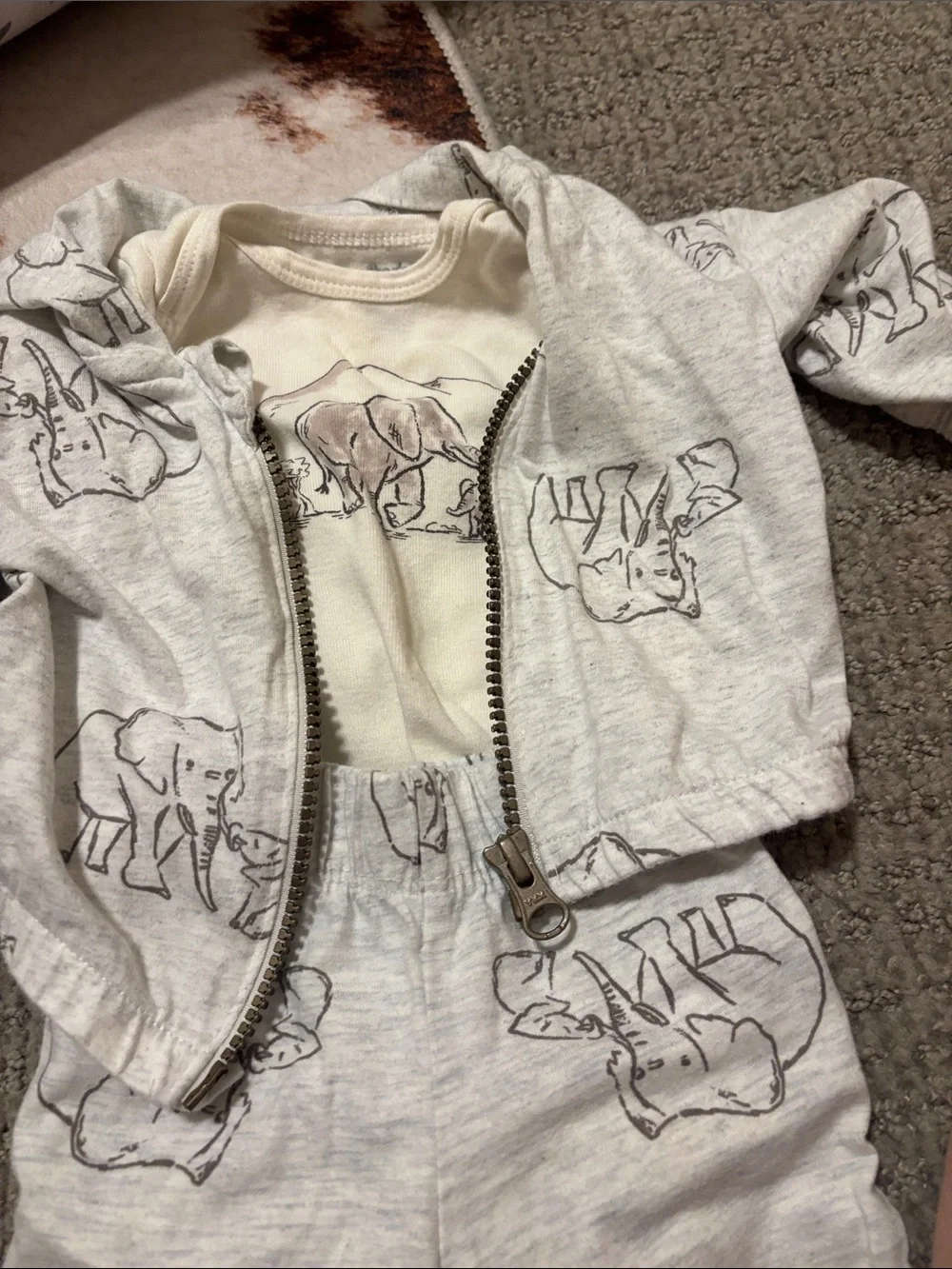 Carters onesies matching